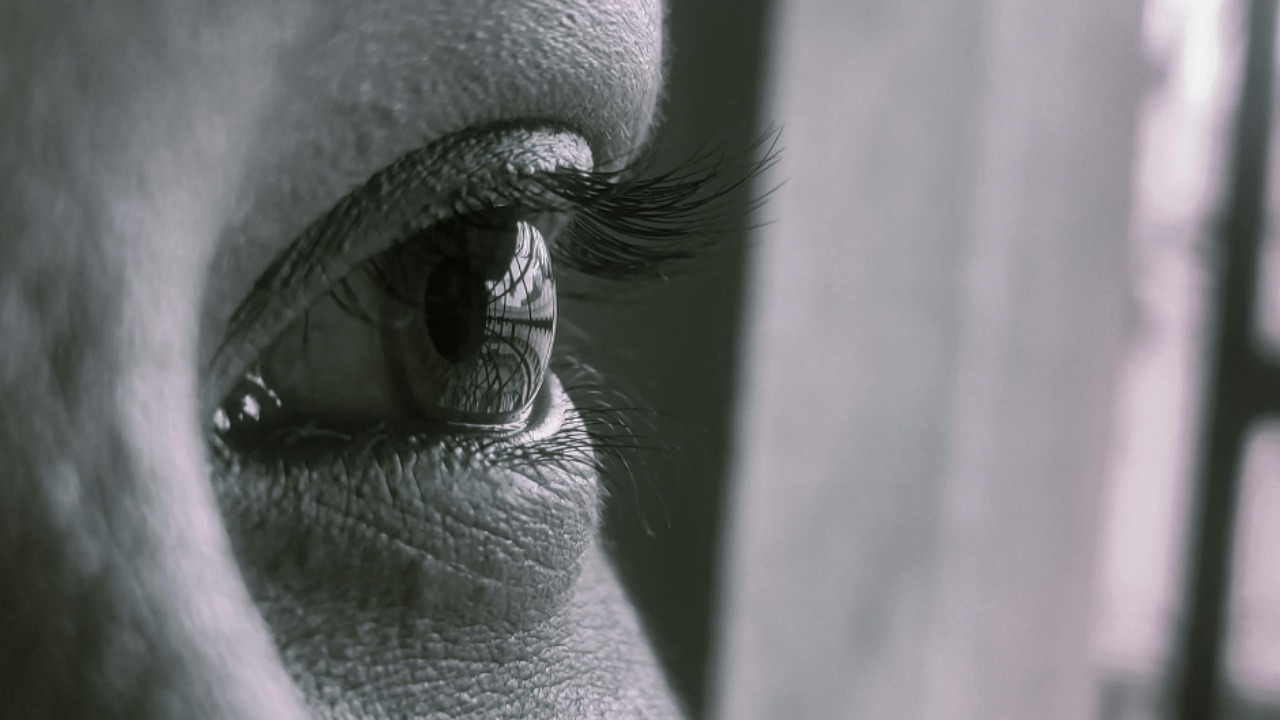 Gambar sampul untuk Lebih Peka dari Mulut dan Telinga Manusia