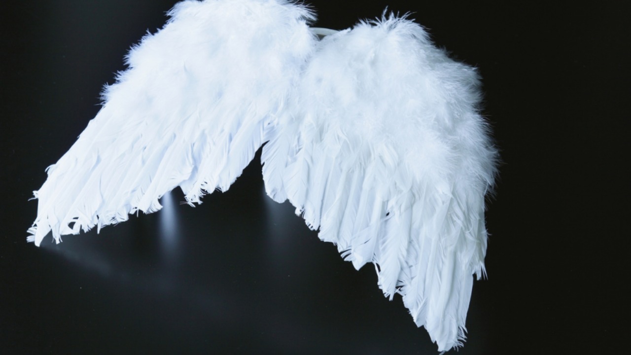 Gambar sampul untuk Dua Sayap