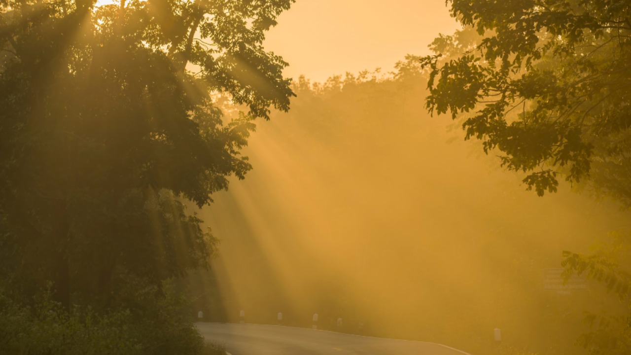 Gambar sampul untuk Cahaya Karya Negeri